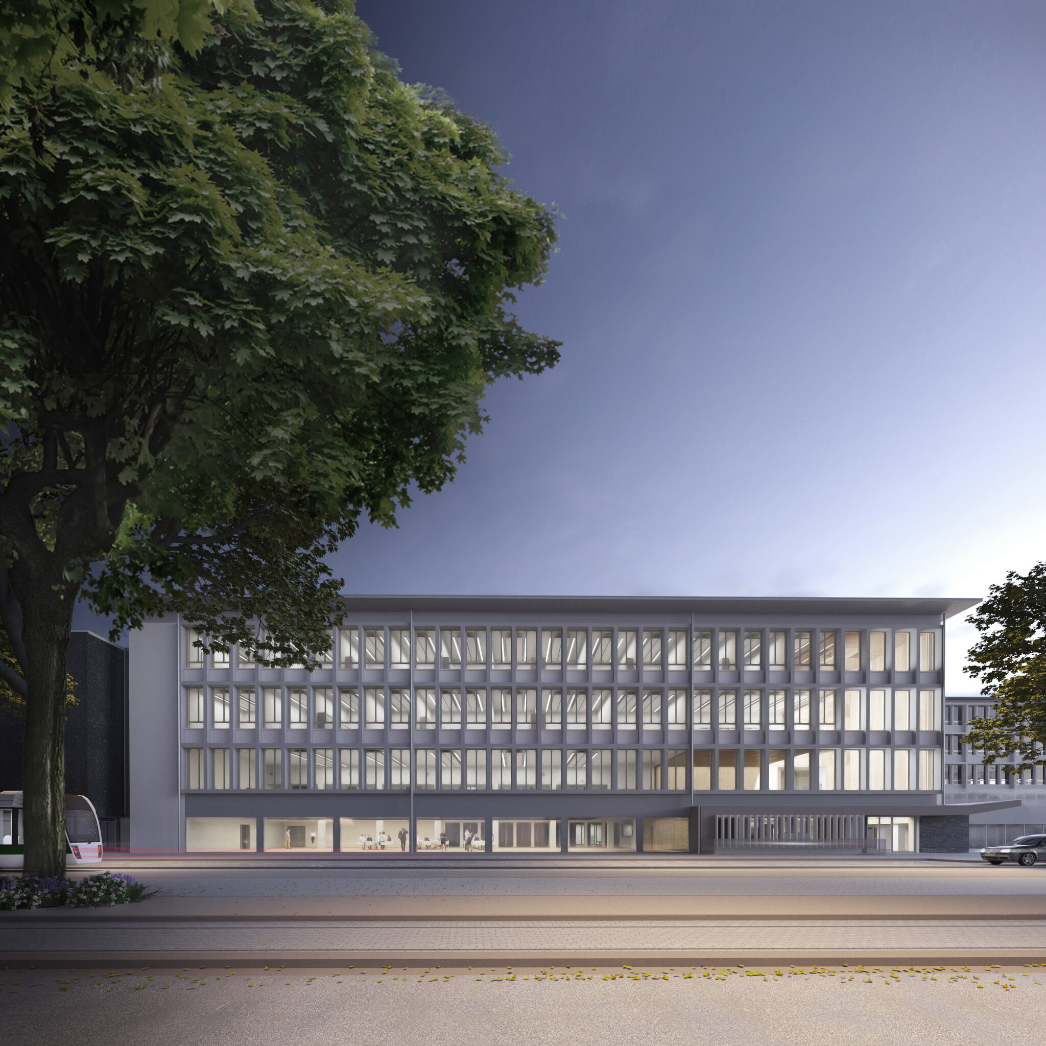 National Institute of Applied Sciences (INSA)