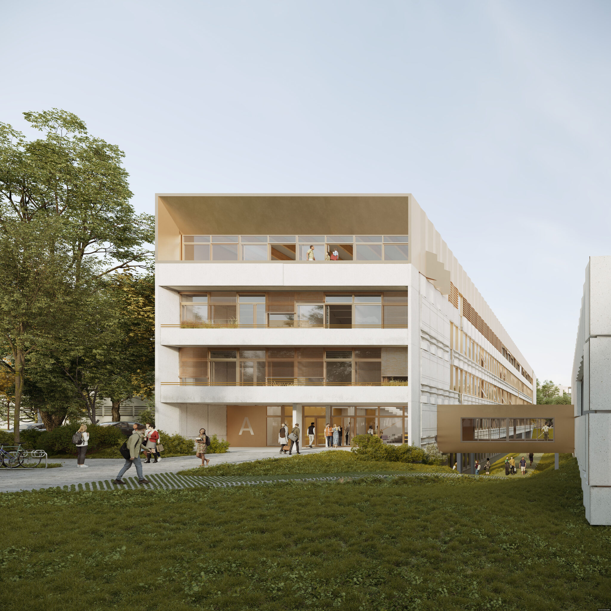 Campus